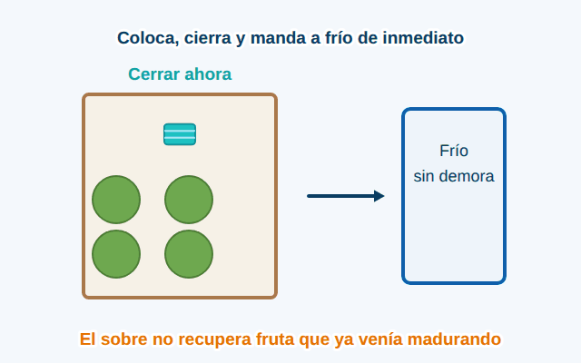 Coloca, cierra y manda a frío